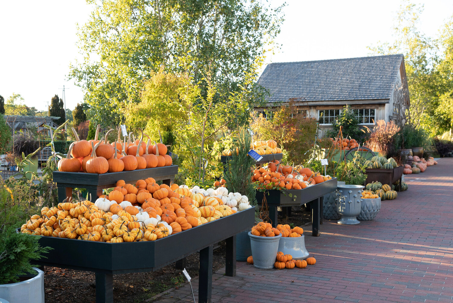 Bountiful displays at The Farmer’s Daughter, South Kingstown