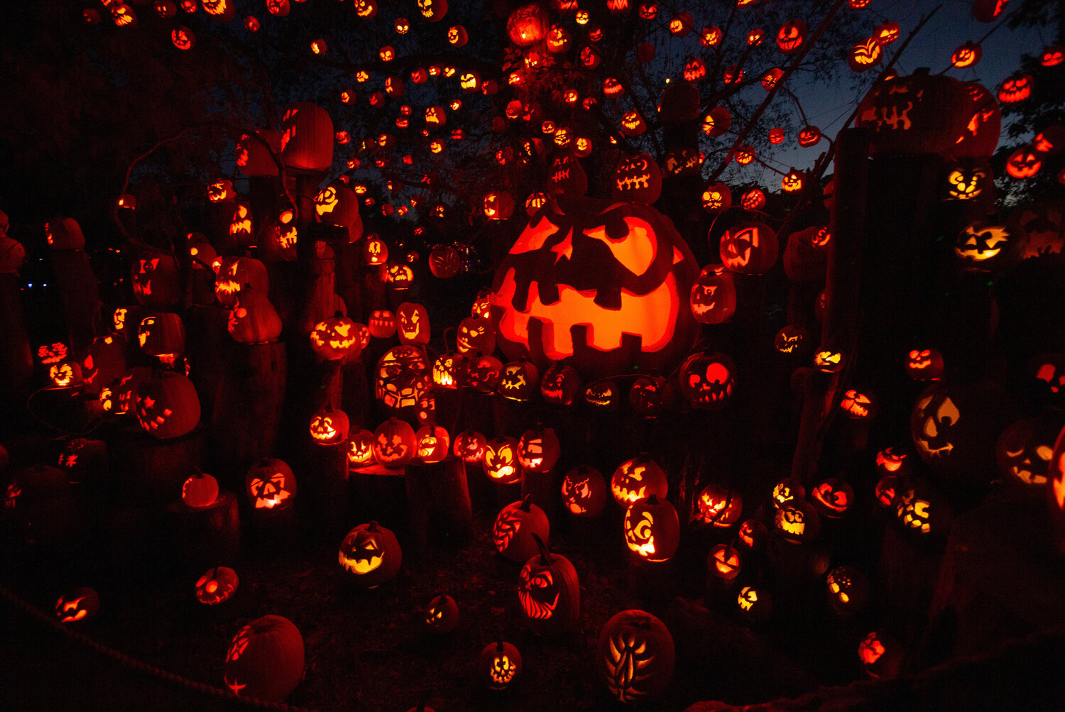 Pumpkins Around the World is the theme of this year’s Jack-O-Lantern Spectacular at RWP Zoo