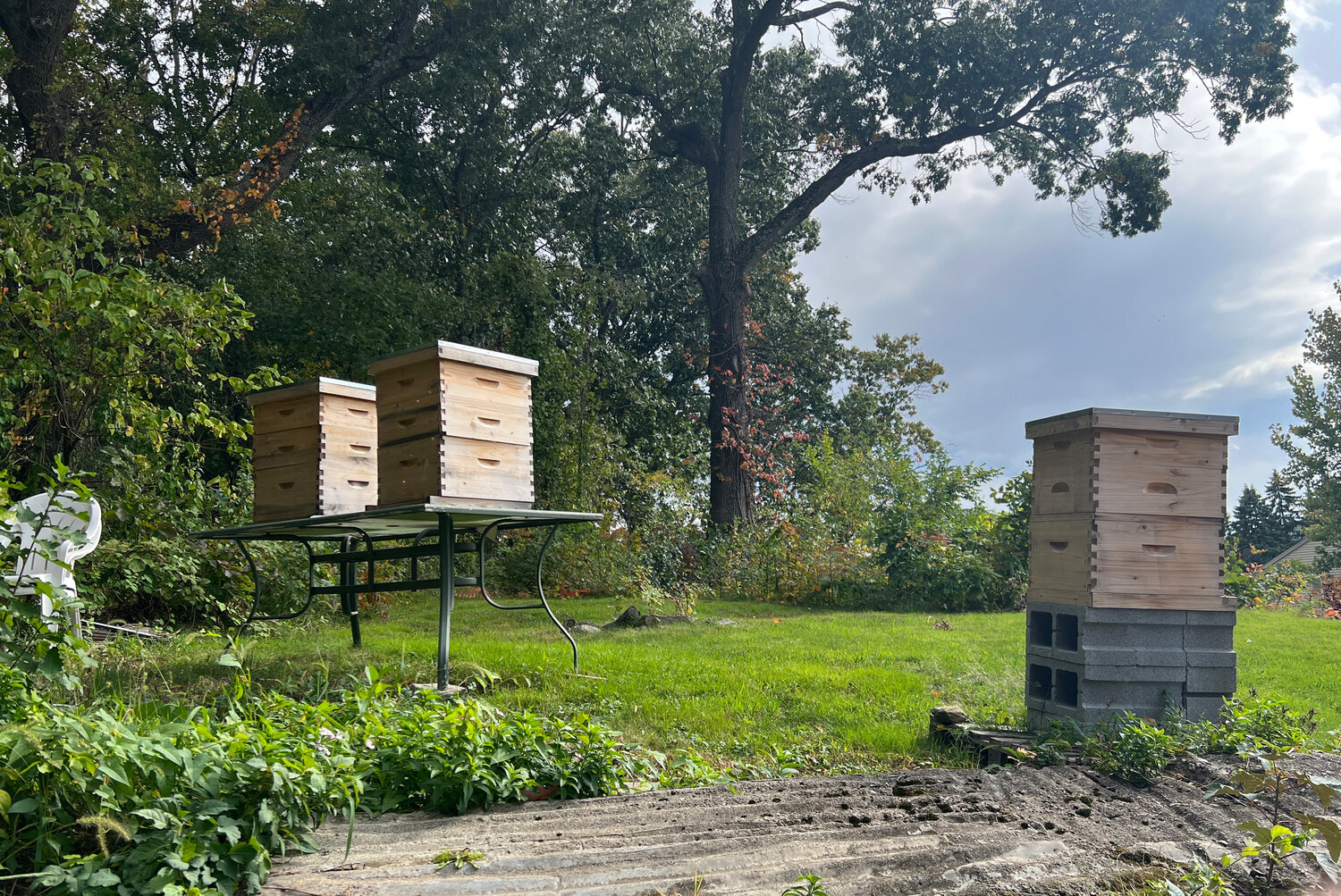 The duo tends beehives in Coventry and Providence